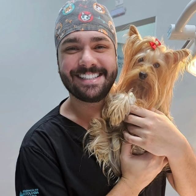 Reabsorção dental felina: o dente que some por dentro