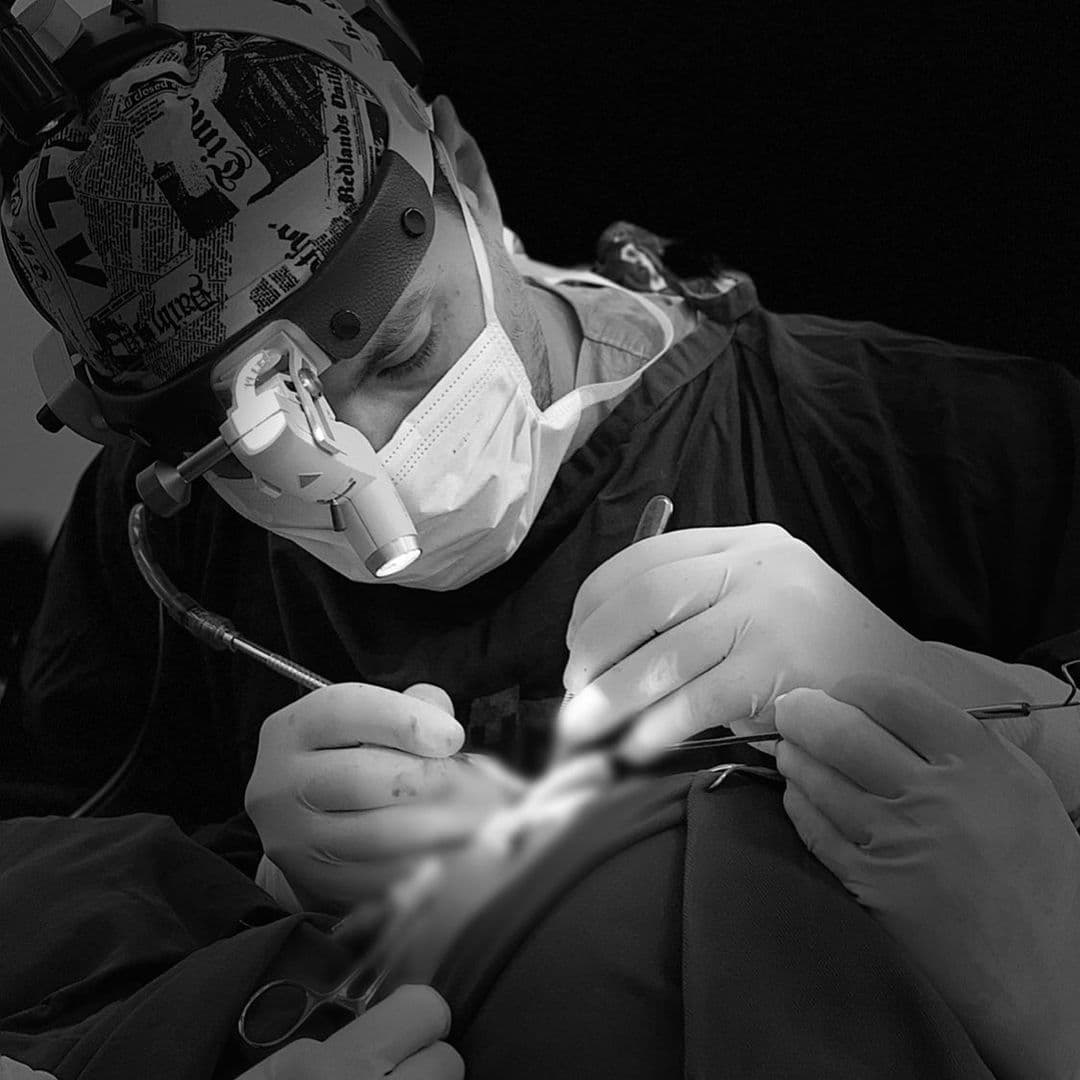 Periodontia e limpeza de tártaro em cães e gatos