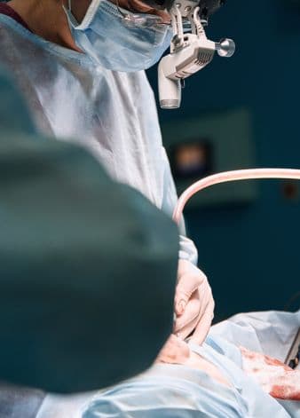 Dente quebrado em cachorro: dor, abscesso e o que fazer